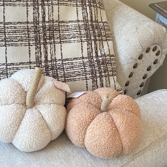 Unbranded Other - NEW! Fall Harvest FARMHOUSE Cottage Sherpa Peach & Cream Autumn Pumpkin Pillow